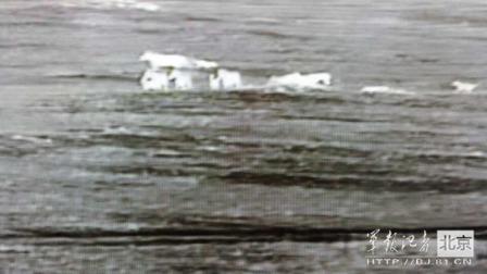 邊防軍出奇事：白天見珍稀動(dòng)物晚上拍狼馬大戰(zhàn)